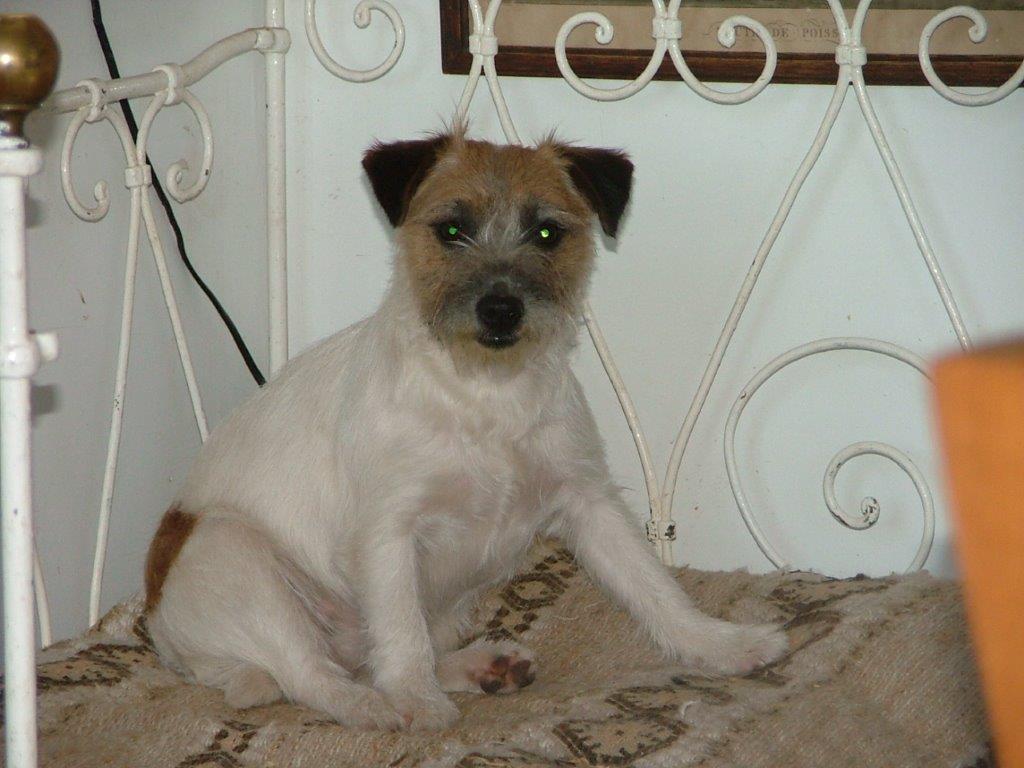 Suzan